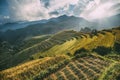 Terraced in Sapa, Vietnam Royalty Free Stock Photo